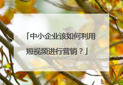 中小企业该如何利用短视频进行营销?