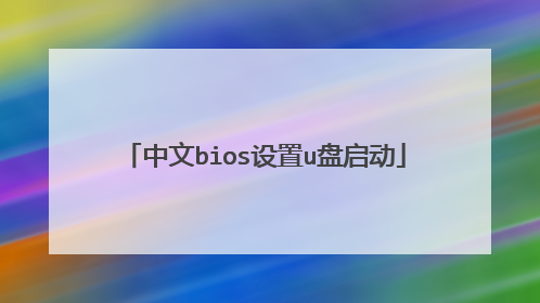 中文bios设置u盘启动