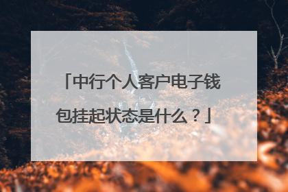 中行个人客户电子钱包挂起状态是什么?
