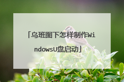 乌班图下怎样制作WindowsU盘启动