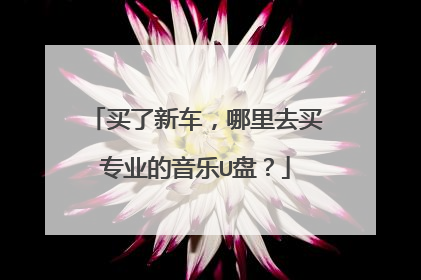 买了新车,哪里去买专业的音乐U盘?