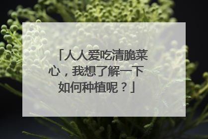 人人爱吃清脆菜心,我想了解一下如何种植呢?