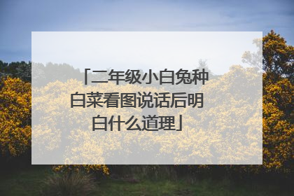 二年级小白兔种白菜看图说话后明白什么道理