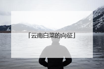 云南白菜的向征