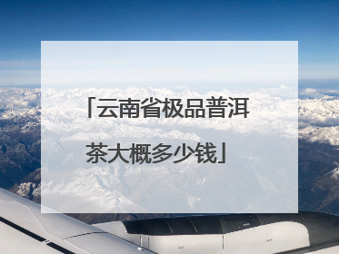 云南省极品普洱茶大概多少钱