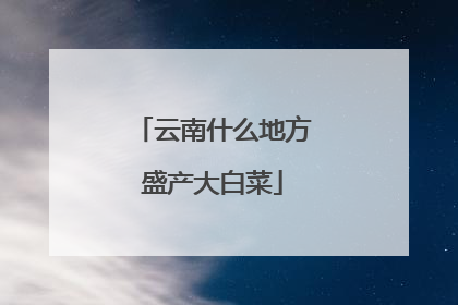 云南什么地方盛产大白菜