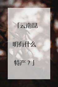 云南昆明有什么特产?