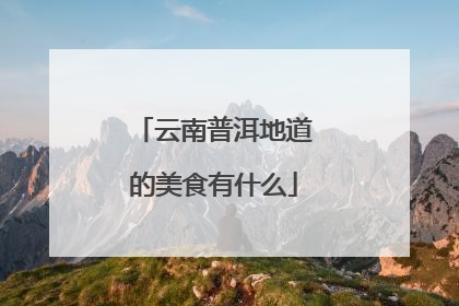 云南普洱地道的美食有什么