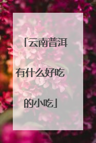 云南普洱有什么好吃的小吃