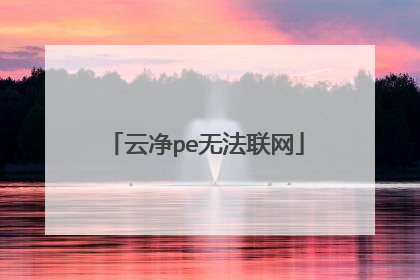 云净pe无法联网
