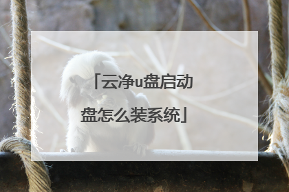 云净u盘启动盘怎么装系统