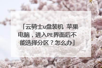 云骑士u盘装机 苹果电脑,进入PE界面后不能选择分区?怎么办