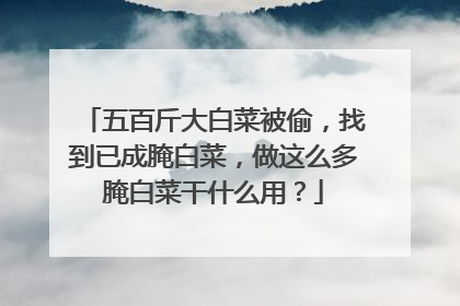 五百斤大白菜被偷，找到已成腌白菜，做这么多腌白菜干什么用？