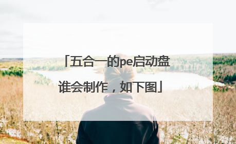 五合一的pe启动盘谁会制作,如下图