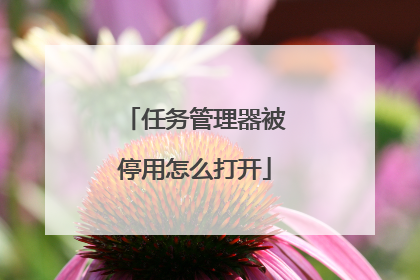 任务管理器被停用怎么打开