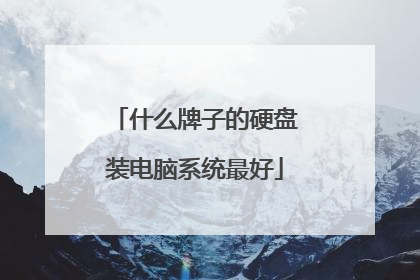 什么牌子的硬盘装电脑系统最好