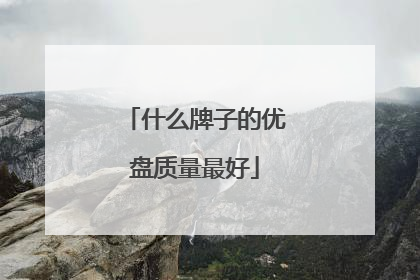 什么牌子的优盘质量最好