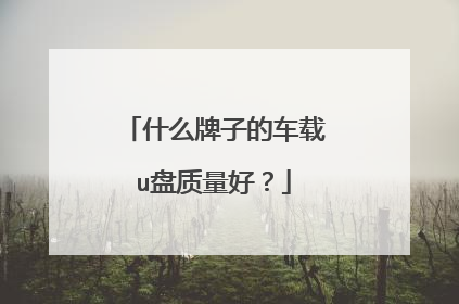 什么牌子的车载u盘质量好？