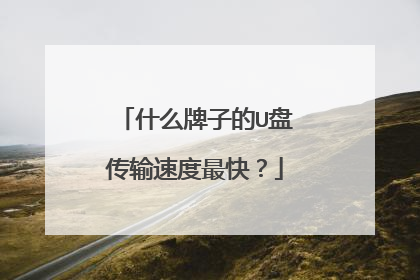 什么牌子的U盘传输速度最快?