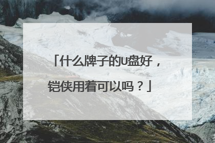 什么牌子的U盘好,铠侠用着可以吗?