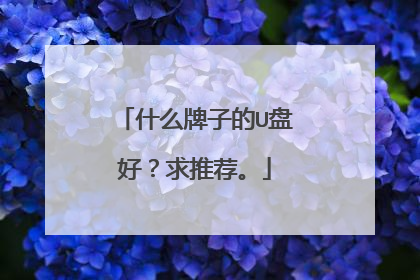 什么牌子的U盘好?求推荐。