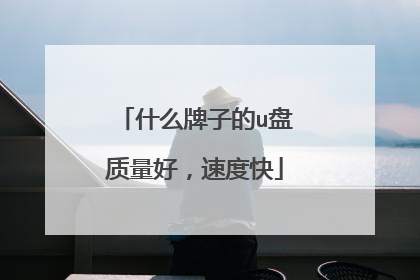 什么牌子的u盘质量好,速度快