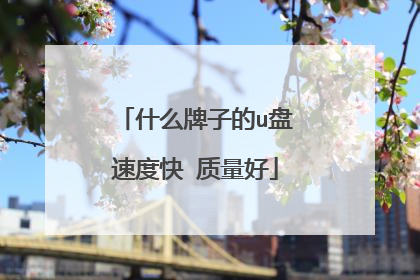 什么牌子的u盘速度快 质量好