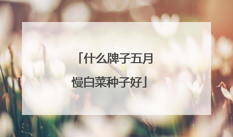 什么牌子五月慢白菜种子好