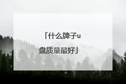 什么牌子u盘质量最好