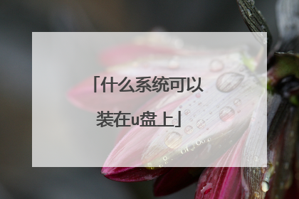 什么系统可以装在u盘上