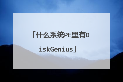 什么系统PE里有DiskGenius