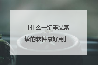 什么一键重装系统的软件最好用