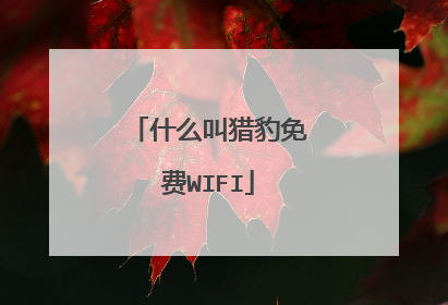 什么叫猎豹免费WIFI