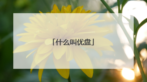 什么叫优盘