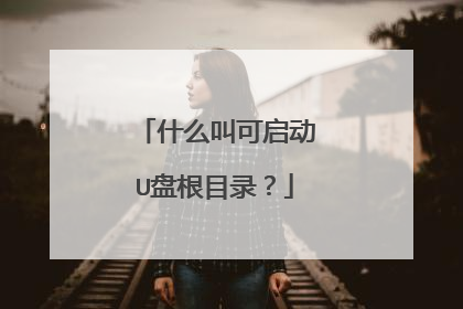 什么叫可启动U盘根目录？