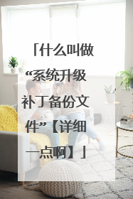 什么叫做“系统升级补丁备份文件”【详细一点啊】