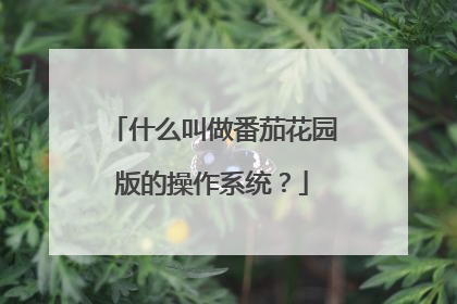 什么叫做番茄花园版的操作系统？