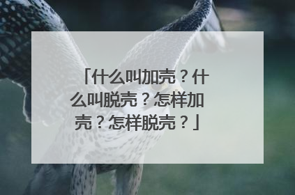 什么叫加壳？什么叫脱壳？怎样加壳？怎样脱壳？