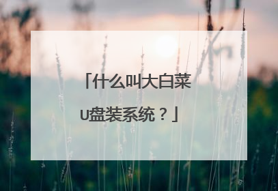 什么叫大白菜U盘装系统?