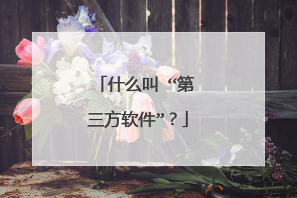 什么叫 “第三方软件”?
