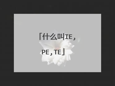 什么叫IE,PE,TE