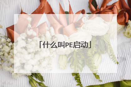 什么叫PE启动