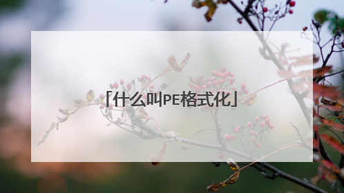 什么叫PE格式化