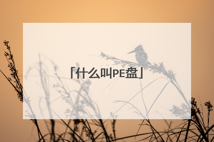 什么叫PE盘