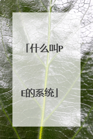 什么叫PE的系统