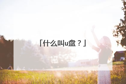 什么叫u盘?
