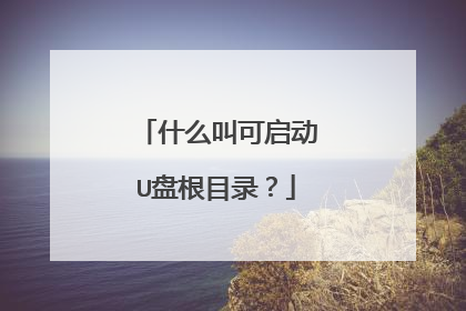 什么叫可启动U盘根目录?