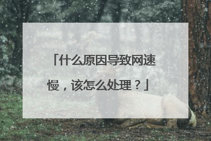 什么原因导致网速慢,该怎么处理?