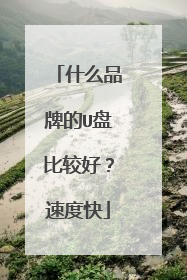 什么品牌的U盘比较好?速度快
