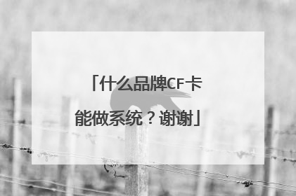 什么品牌CF卡能做系统?谢谢